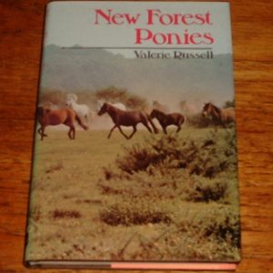 New Forest Ponies, Valerie Russell
