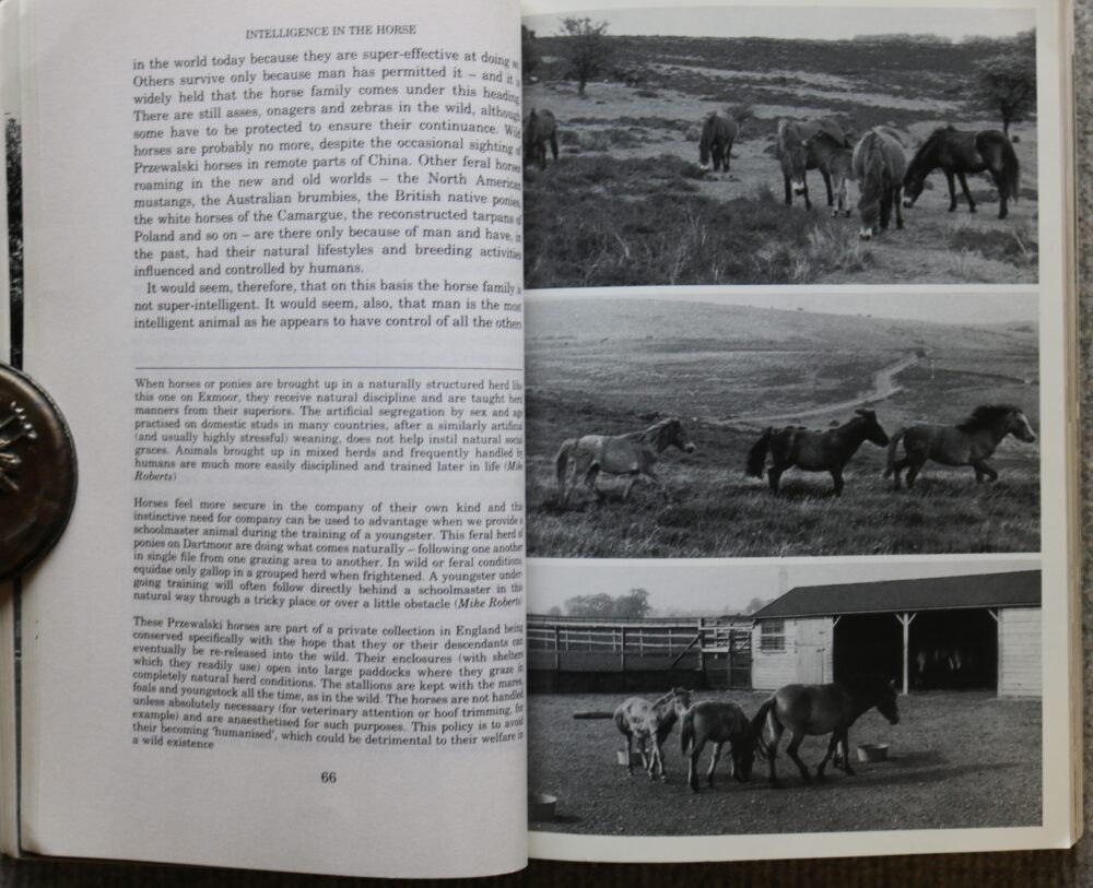Behaviour Problems in Horses, Susan McBane - Image 8