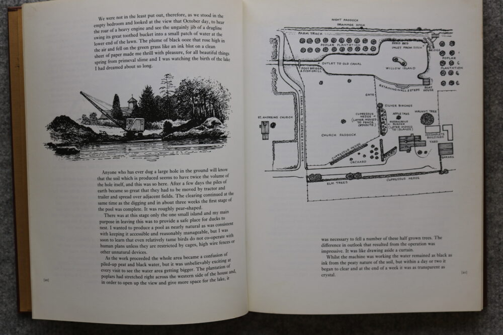 Thelwell, A Plank Bridge By a Pool, Norman Thelwell - Image 7