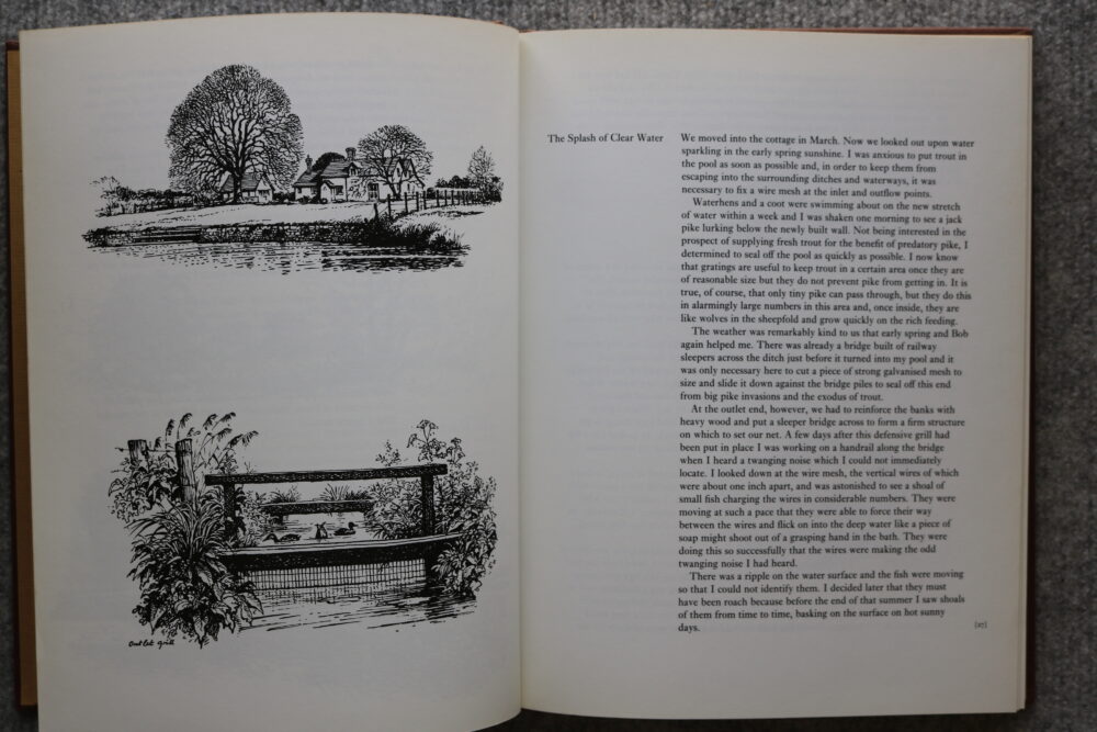 Thelwell, A Plank Bridge By a Pool, Norman Thelwell - Image 8