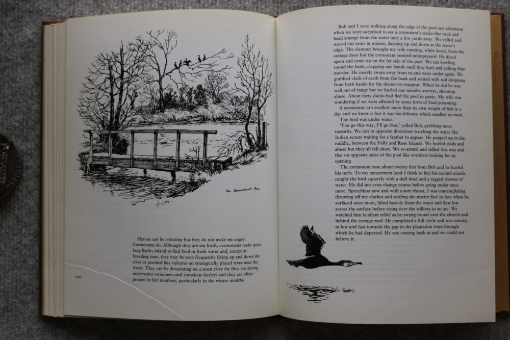 Thelwell, A Plank Bridge By a Pool, Norman Thelwell - Image 13