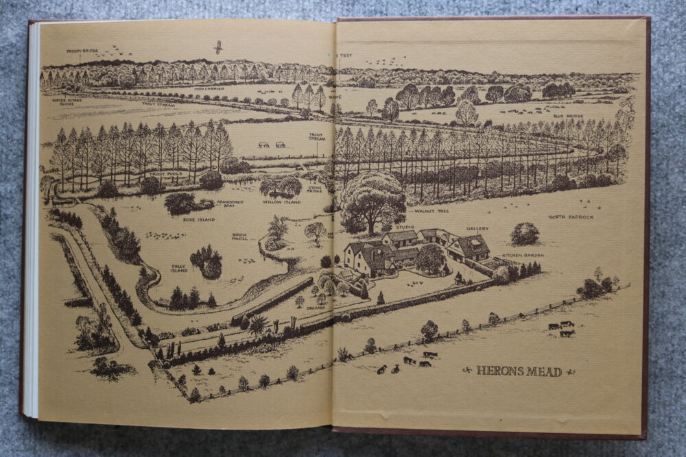 Thelwell, A Plank Bridge By a Pool, Norman Thelwell - Image 14