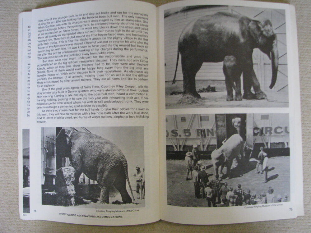 Logistics of the American Circus, Joe McKennon - Image 8