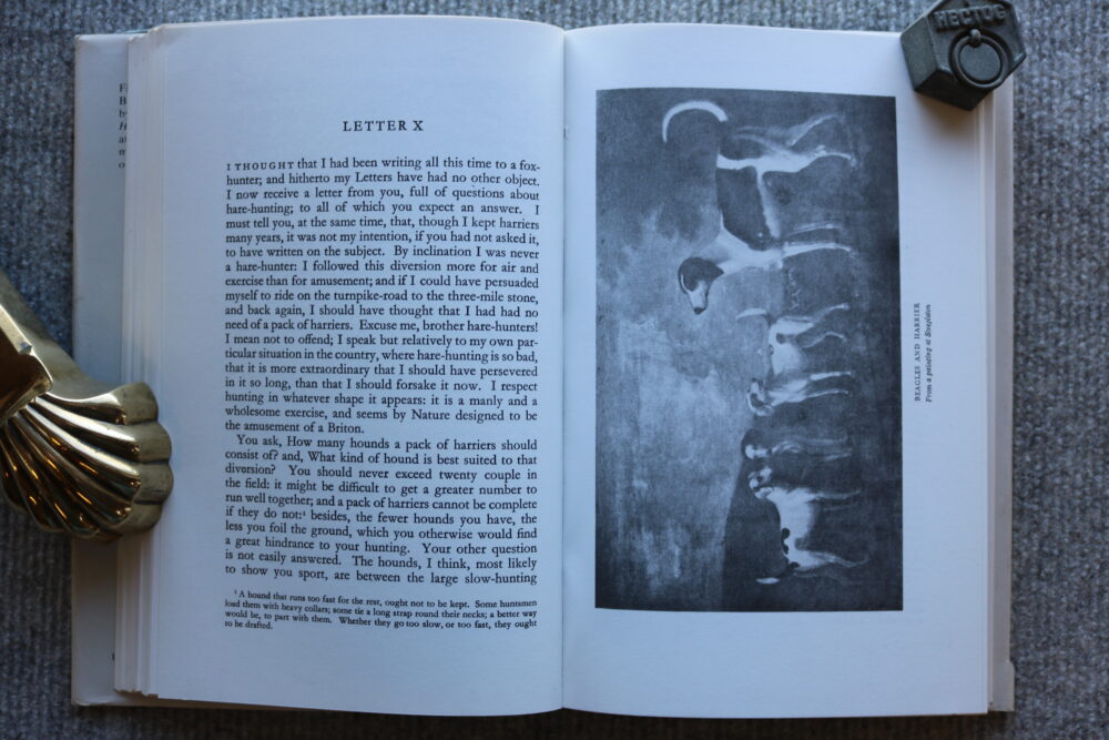 Thoughts on Hunting, in a series of familiar letters to a friend, Peter Beckford - Image 18