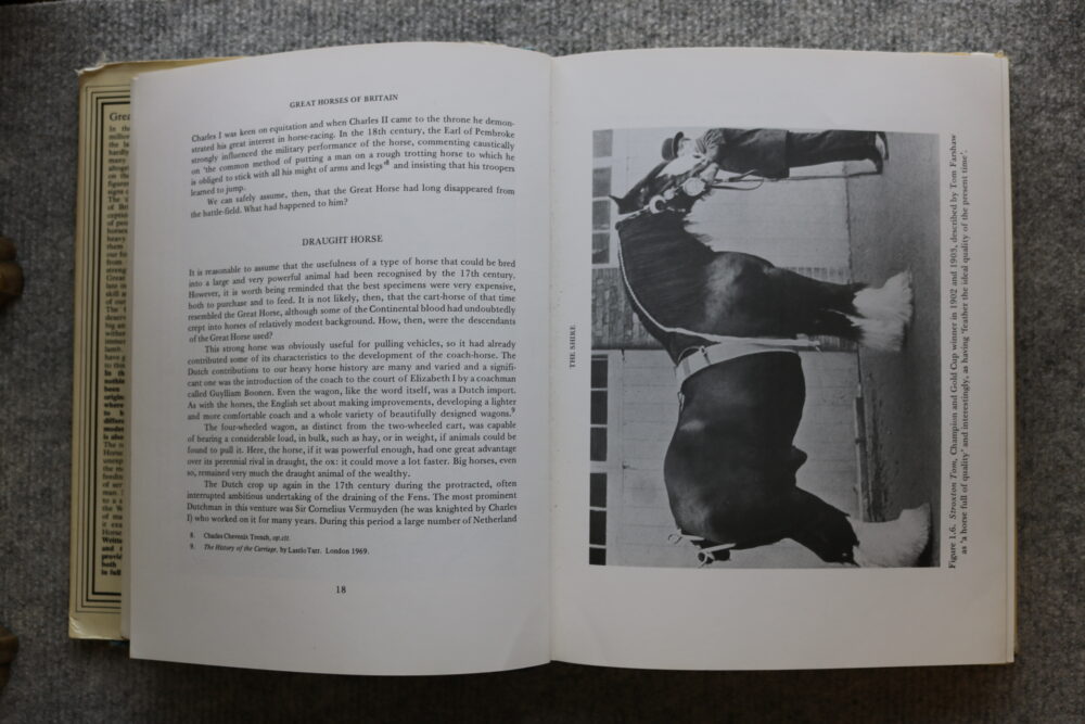 Great Horses of Britain, Lee Weatherley - Image 10