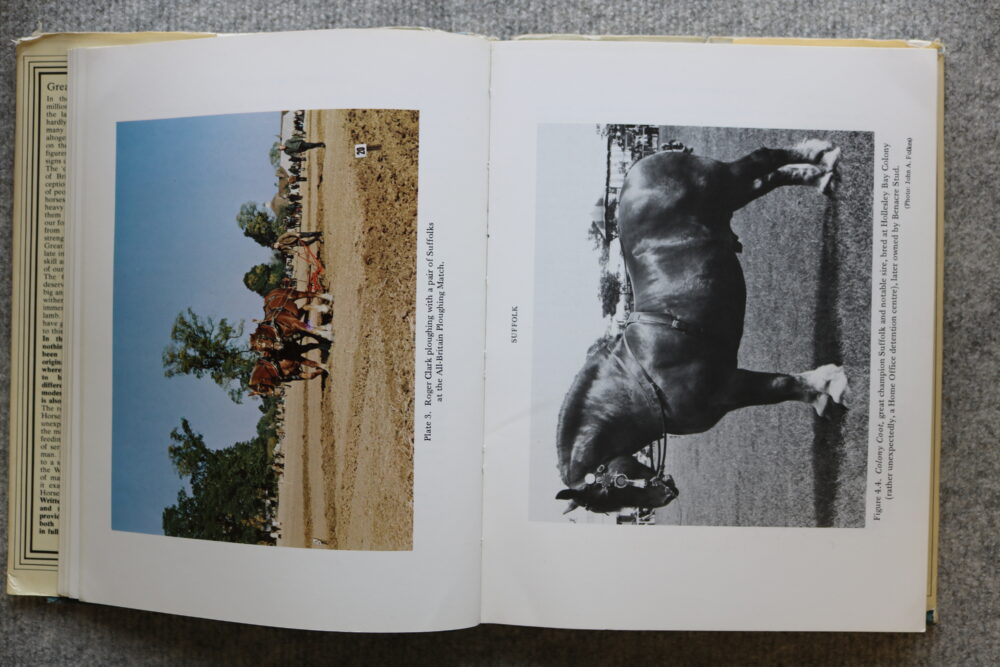 Great Horses of Britain, Lee Weatherley - Image 12