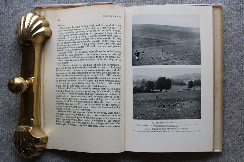Beagling, C B Shepherd - Image 6