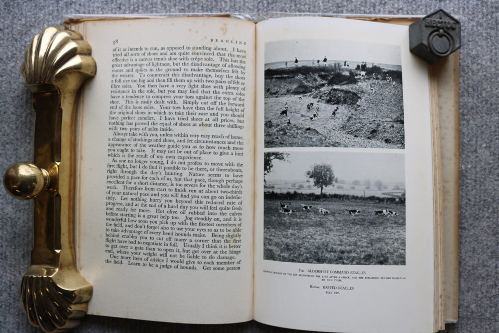Beagling, C B Shepherd - Image 10