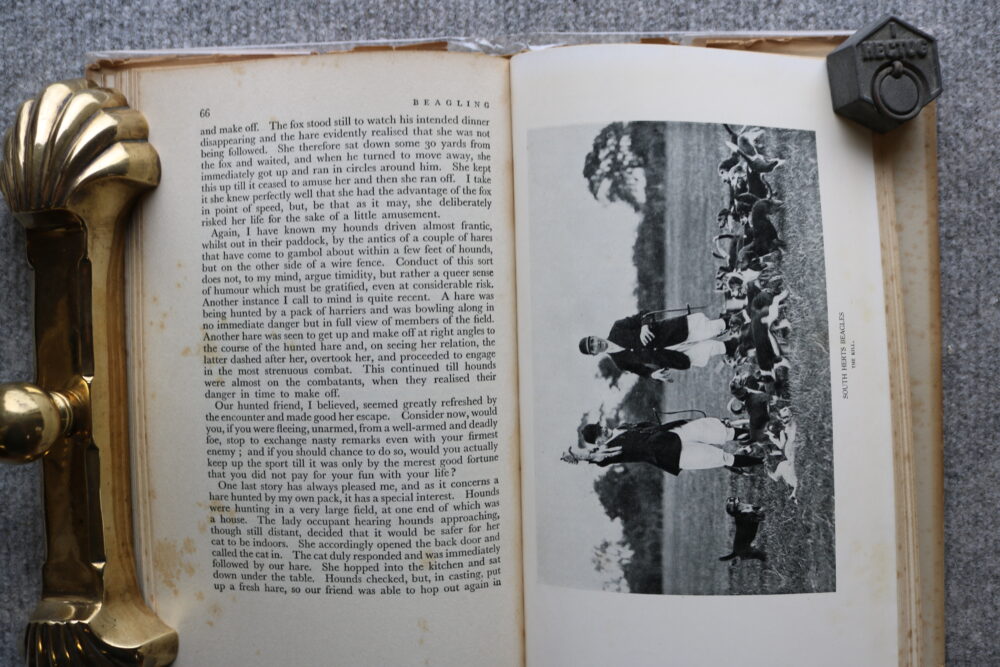 Beagling, C B Shepherd - Image 11