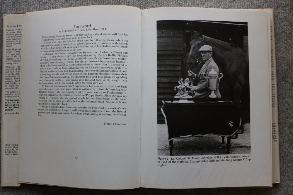 Famous Foxhunters, Daphne Moore - Image 6