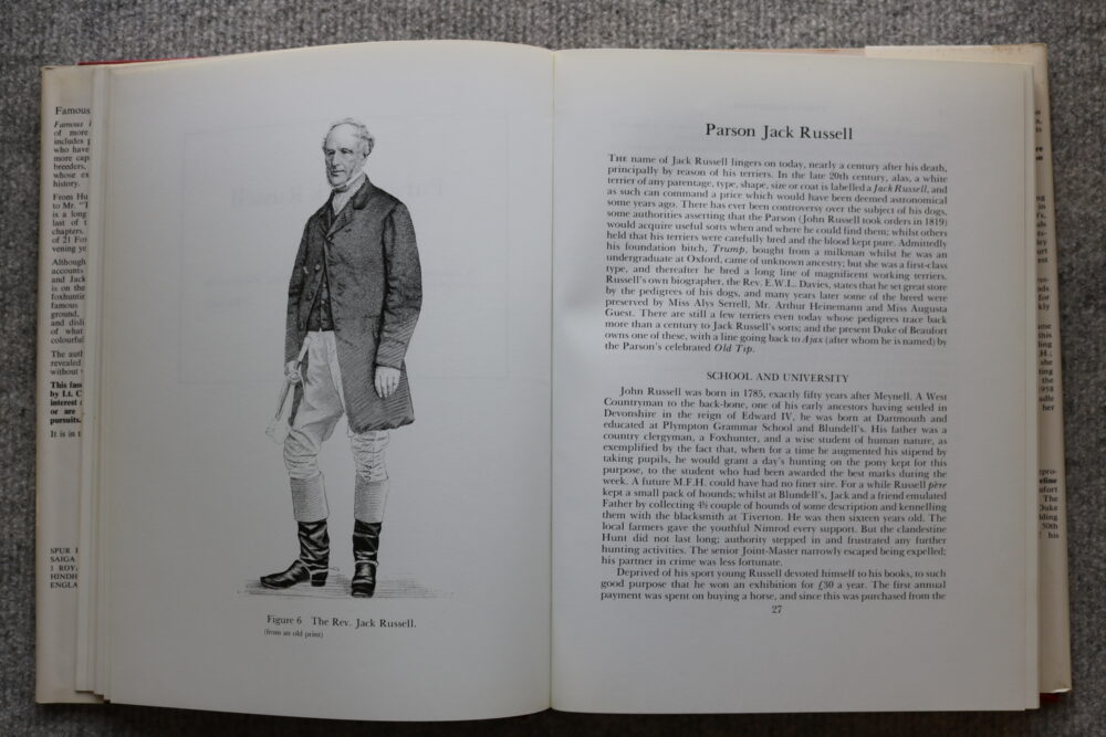 Famous Foxhunters, Daphne Moore - Image 7