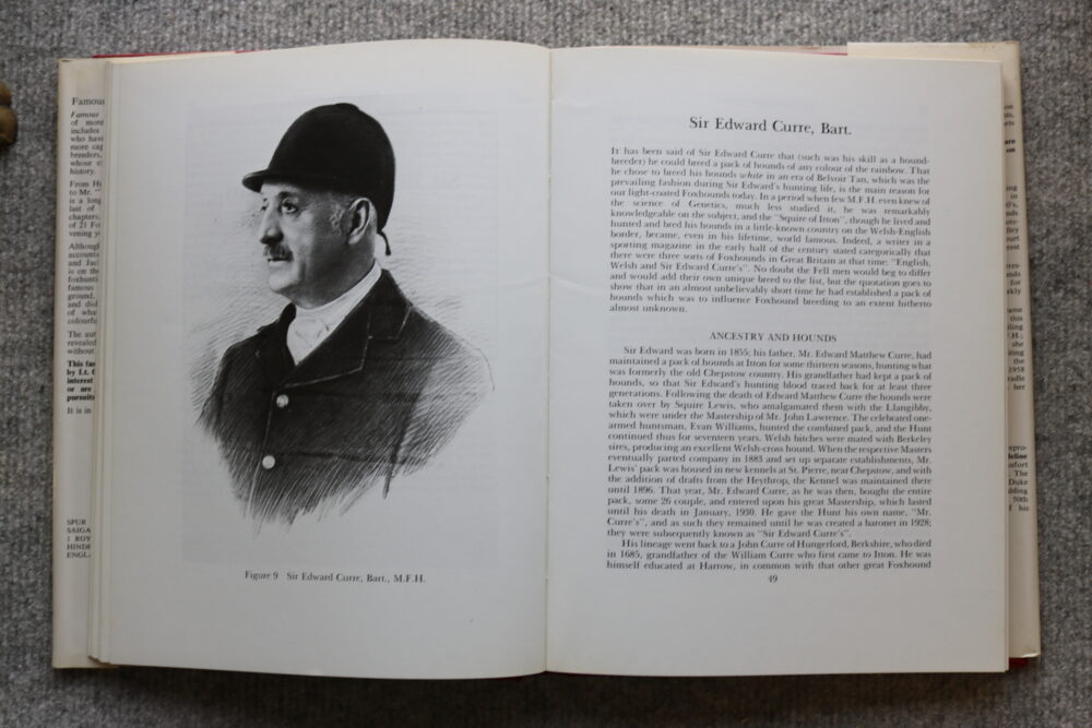 Famous Foxhunters, Daphne Moore - Image 8