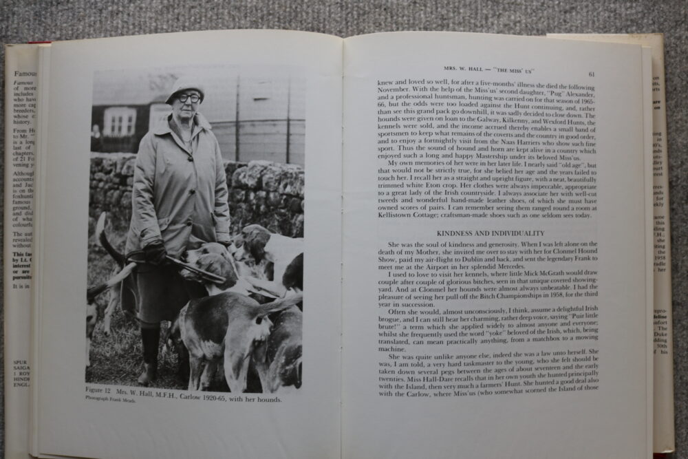 Famous Foxhunters, Daphne Moore - Image 9