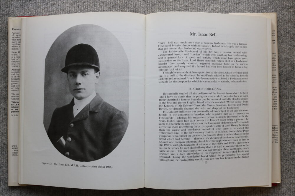 Famous Foxhunters, Daphne Moore - Image 10