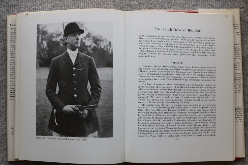 Famous Foxhunters, Daphne Moore - Image 13