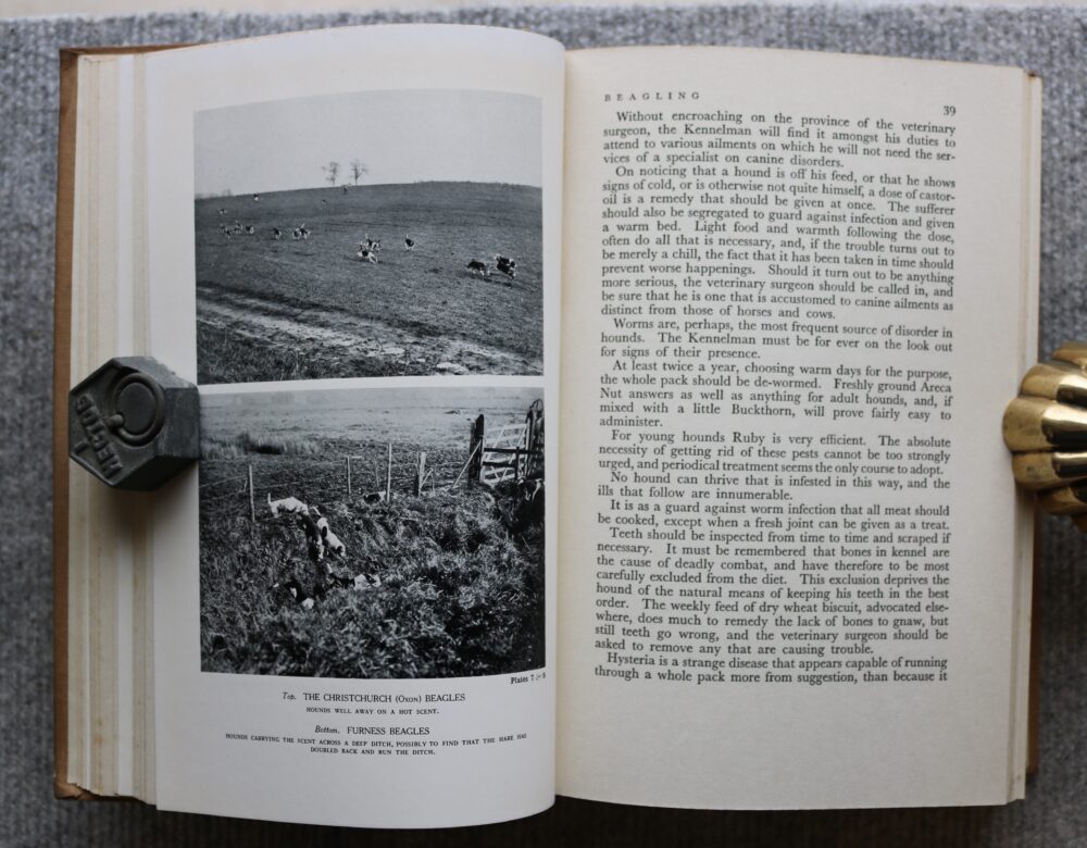Deer, Hare and Otter Hunting, The Right Hon. The Earl of Lonsdale - Image 10