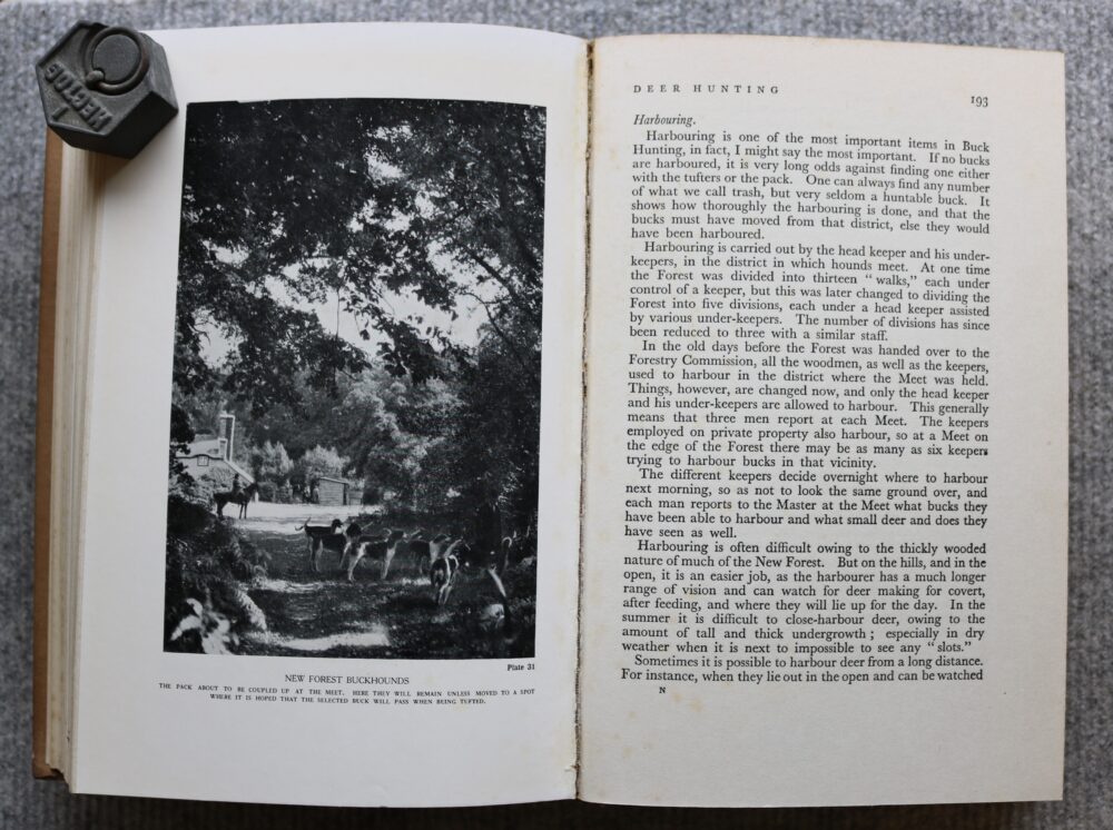 Deer, Hare and Otter Hunting, The Right Hon. The Earl of Lonsdale - Image 13