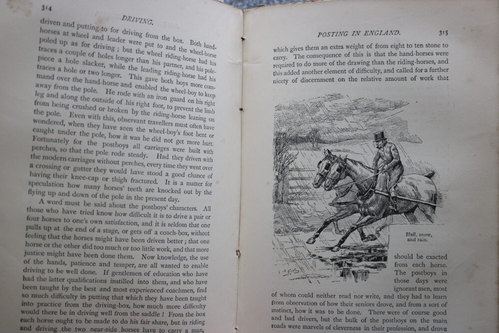 The Badminton Library, Driving, The Duke of Beaufort and Alfred E T Watson - Image 17