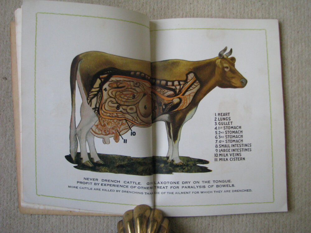 The Practical Home Veterinarian David Roberts D.V.S. - Image 5