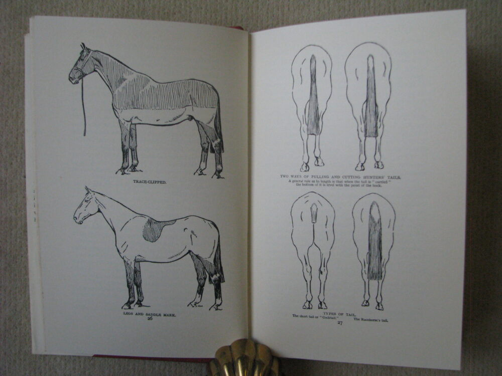 First Aid Hints for the Horse Owner Lt.Col. W.E. Lyon - Image 4