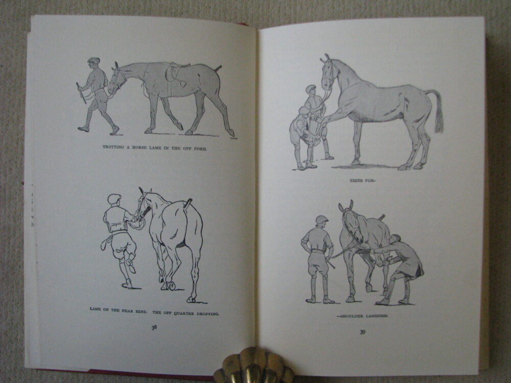 First Aid Hints for the Horse Owner Lt.Col. W.E. Lyon - Image 6