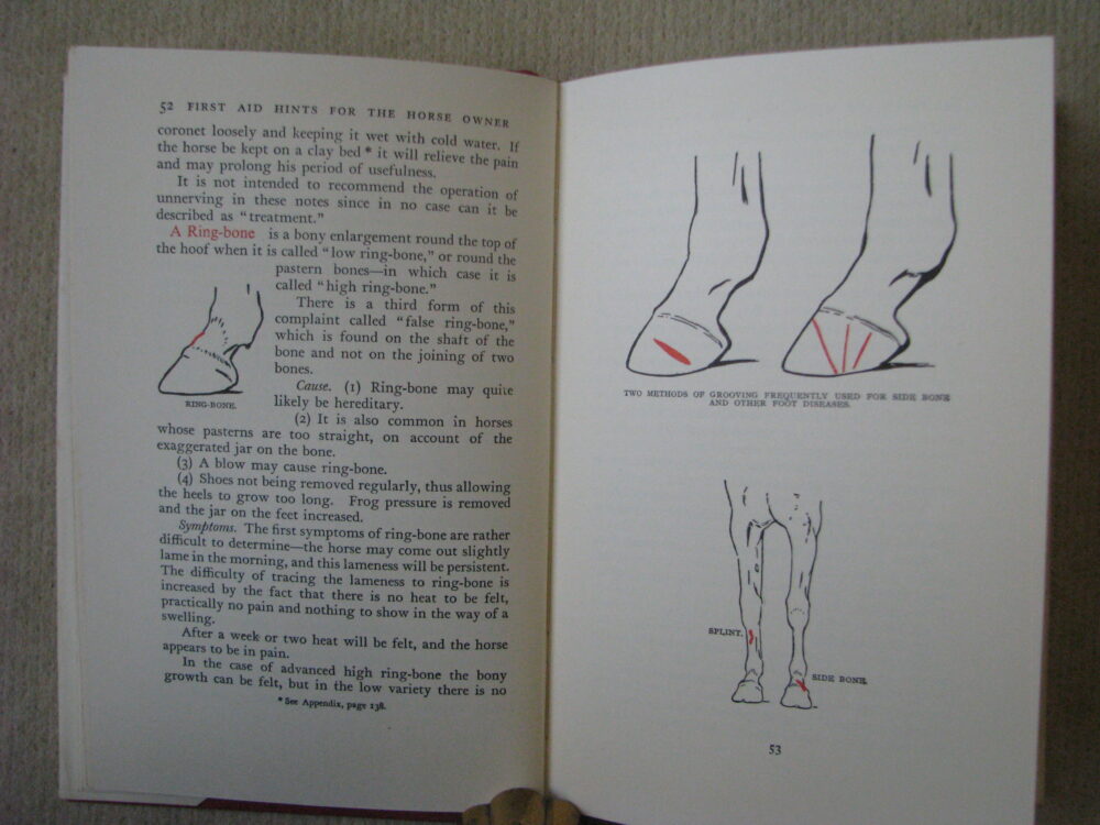 First Aid Hints for the Horse Owner Lt.Col. W.E. Lyon - Image 7