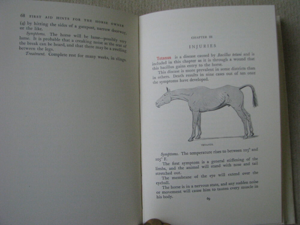 First Aid Hints for the Horse Owner Lt.Col. W.E. Lyon - Image 9