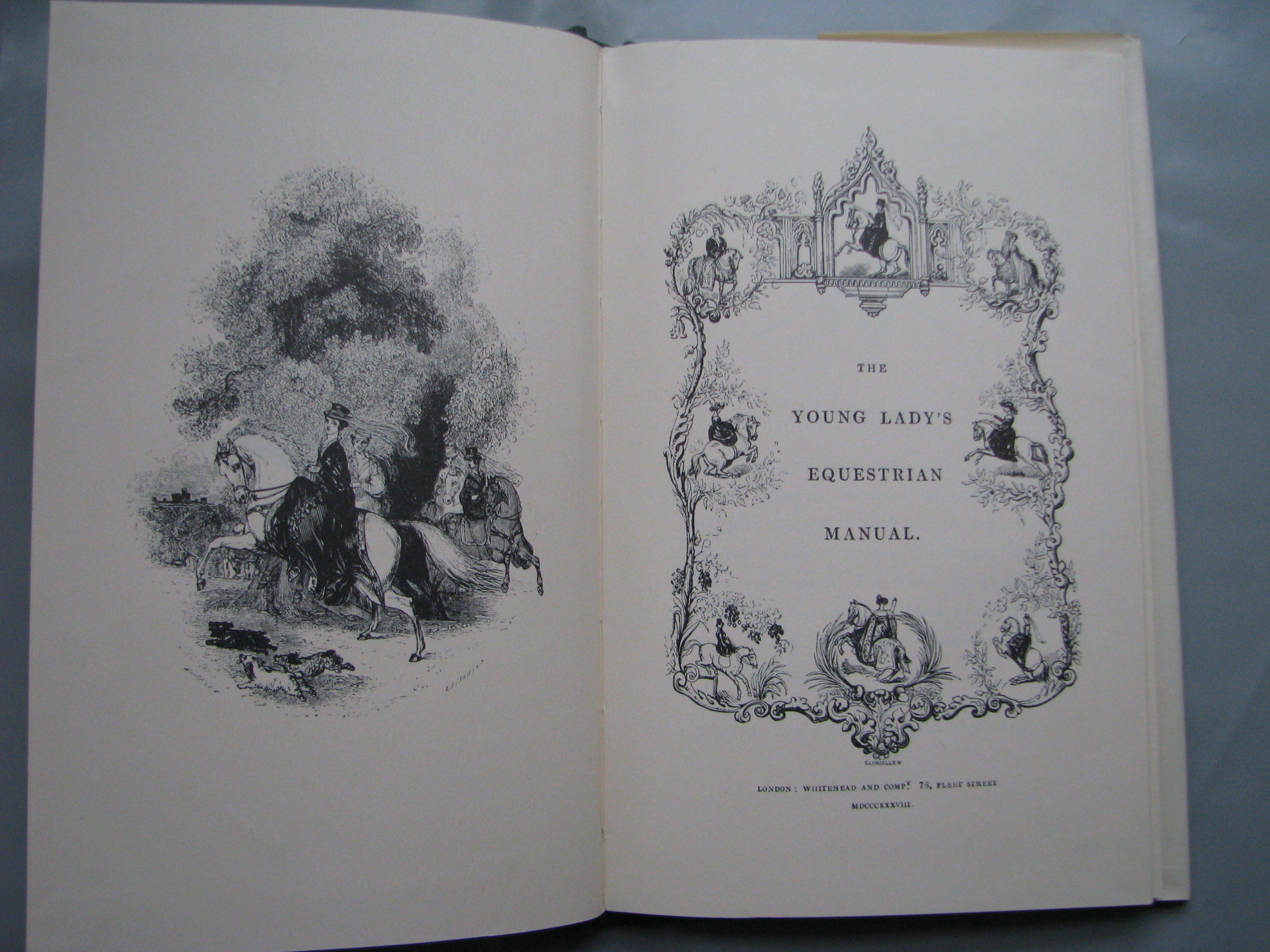 The Young Lady's Equestrian Manual - Image 3