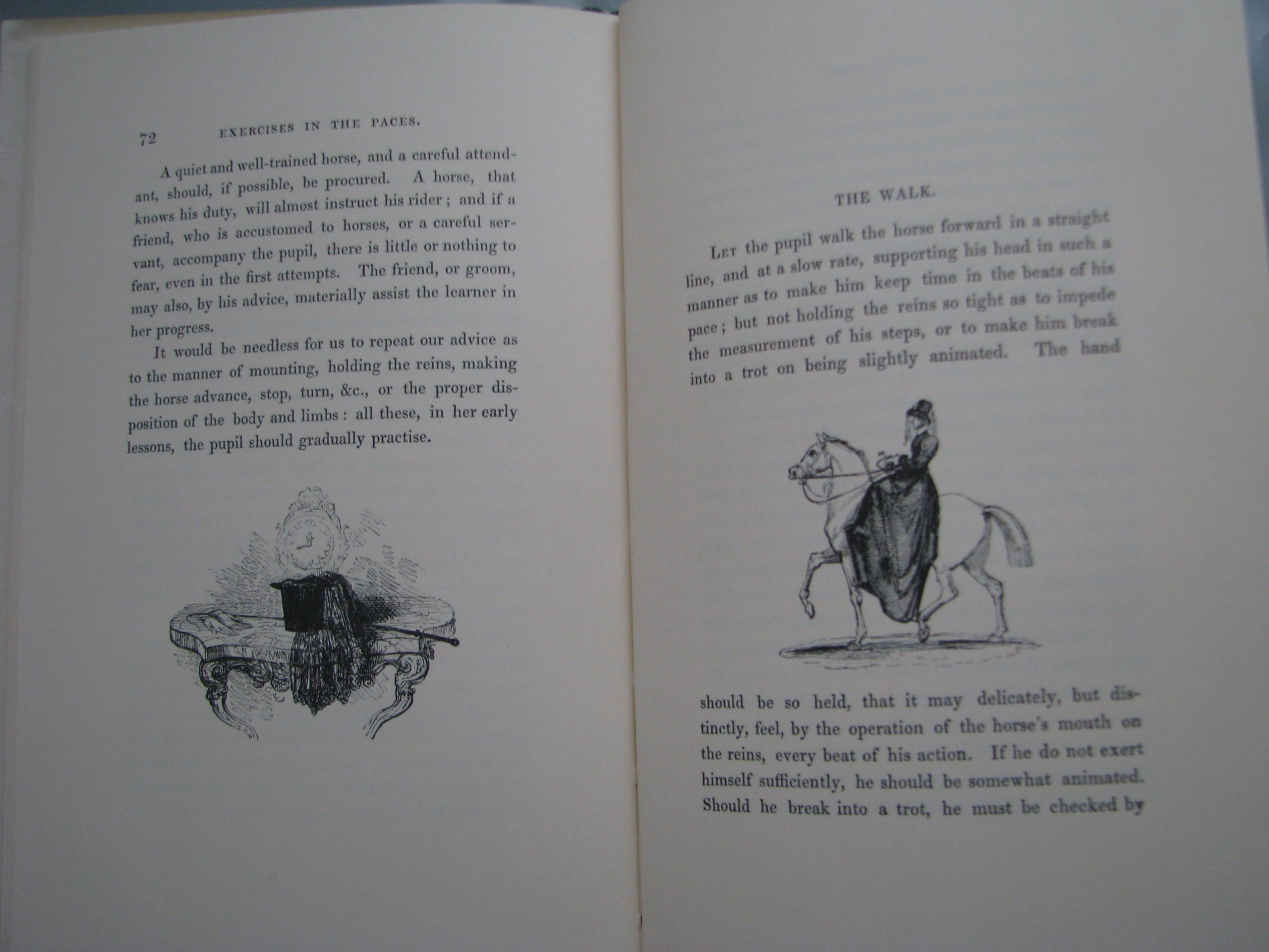 The Young Lady's Equestrian Manual - Image 5