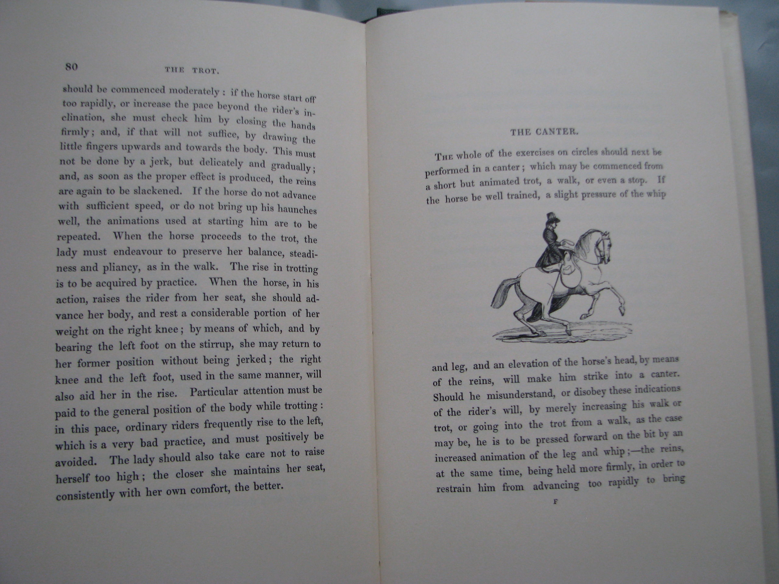The Young Lady's Equestrian Manual - Image 7