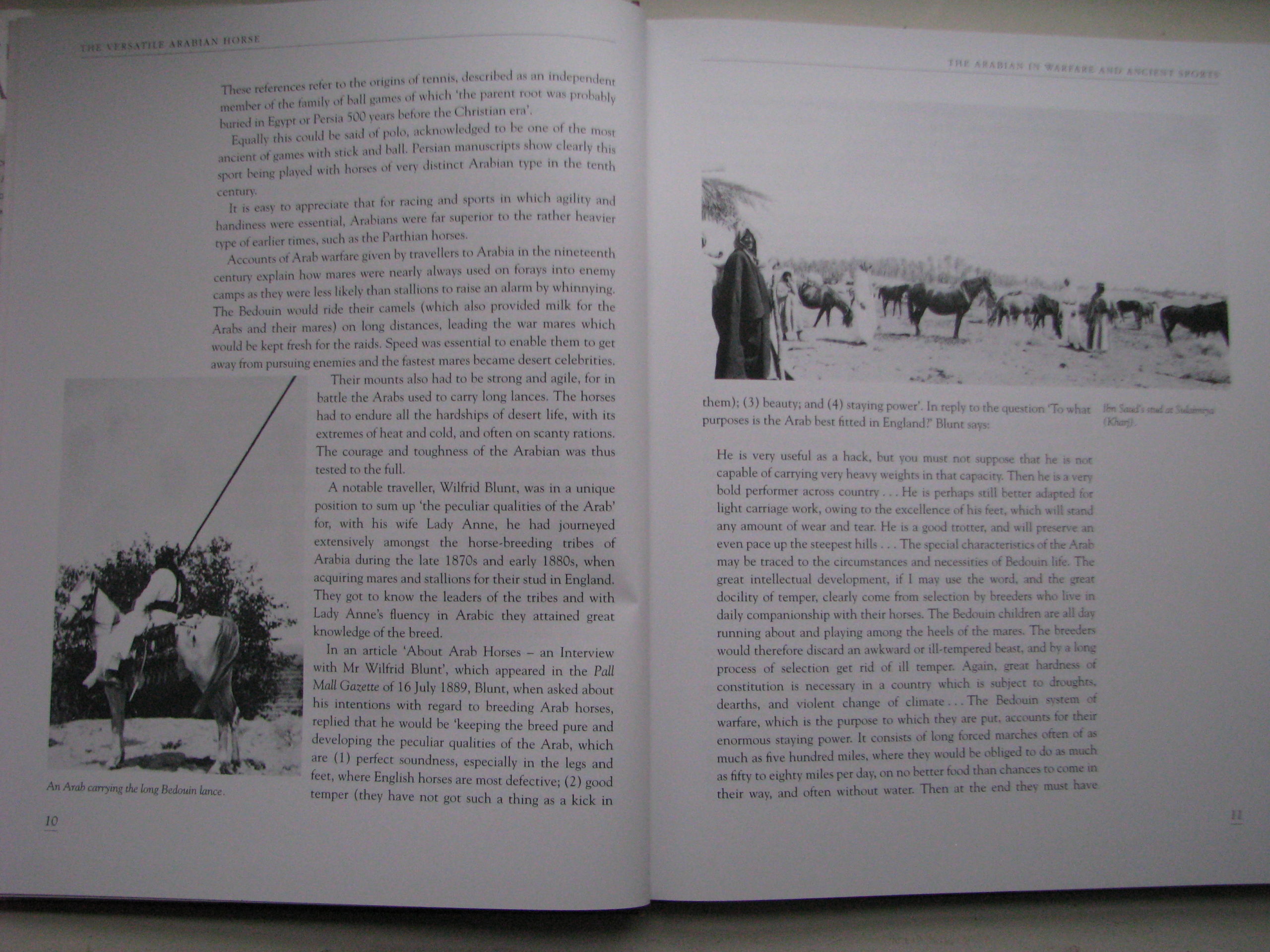 The Versatile Arabian Horse. Rosemary Archer - Image 5