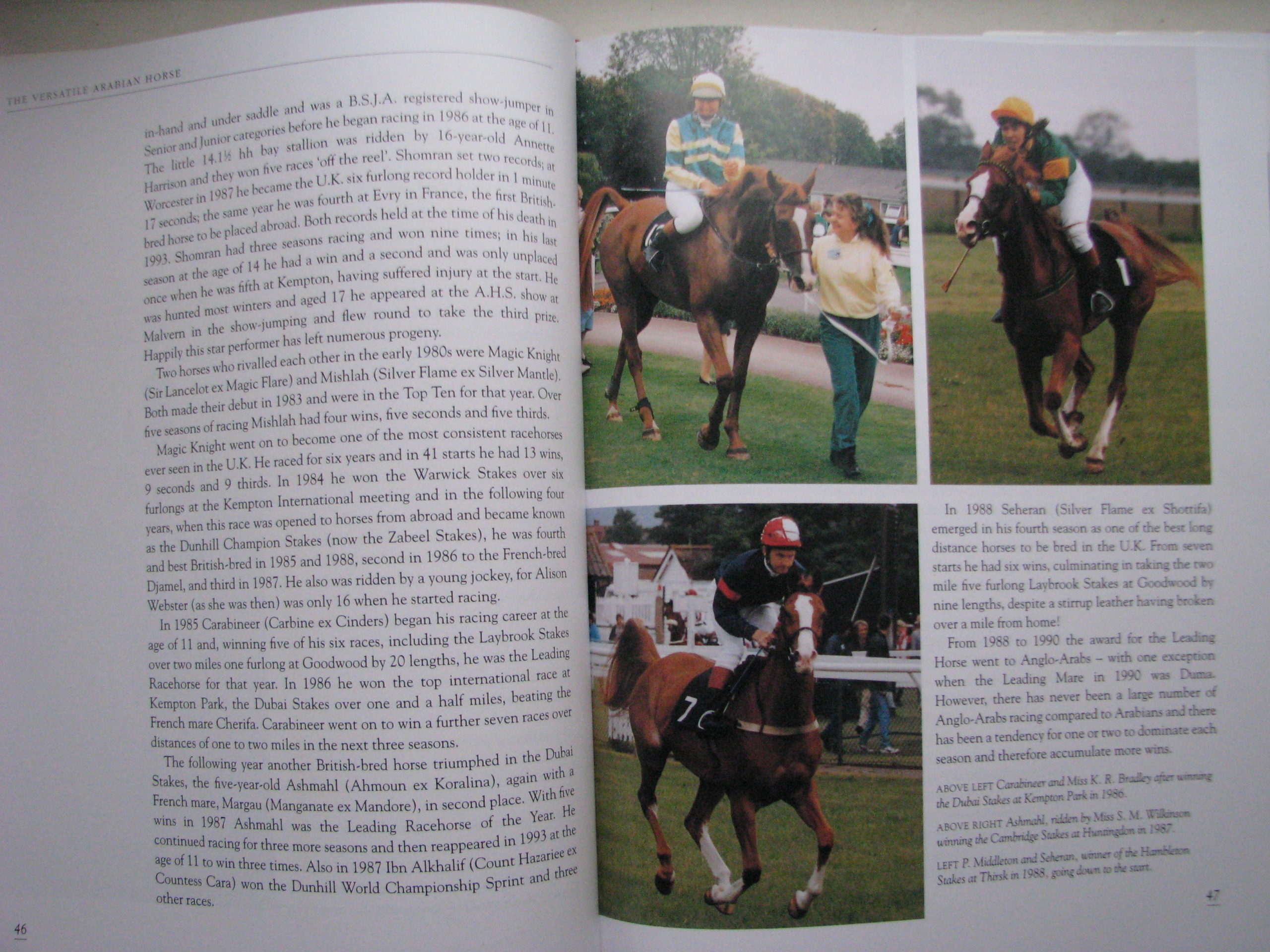 The Versatile Arabian Horse. Rosemary Archer - Image 8