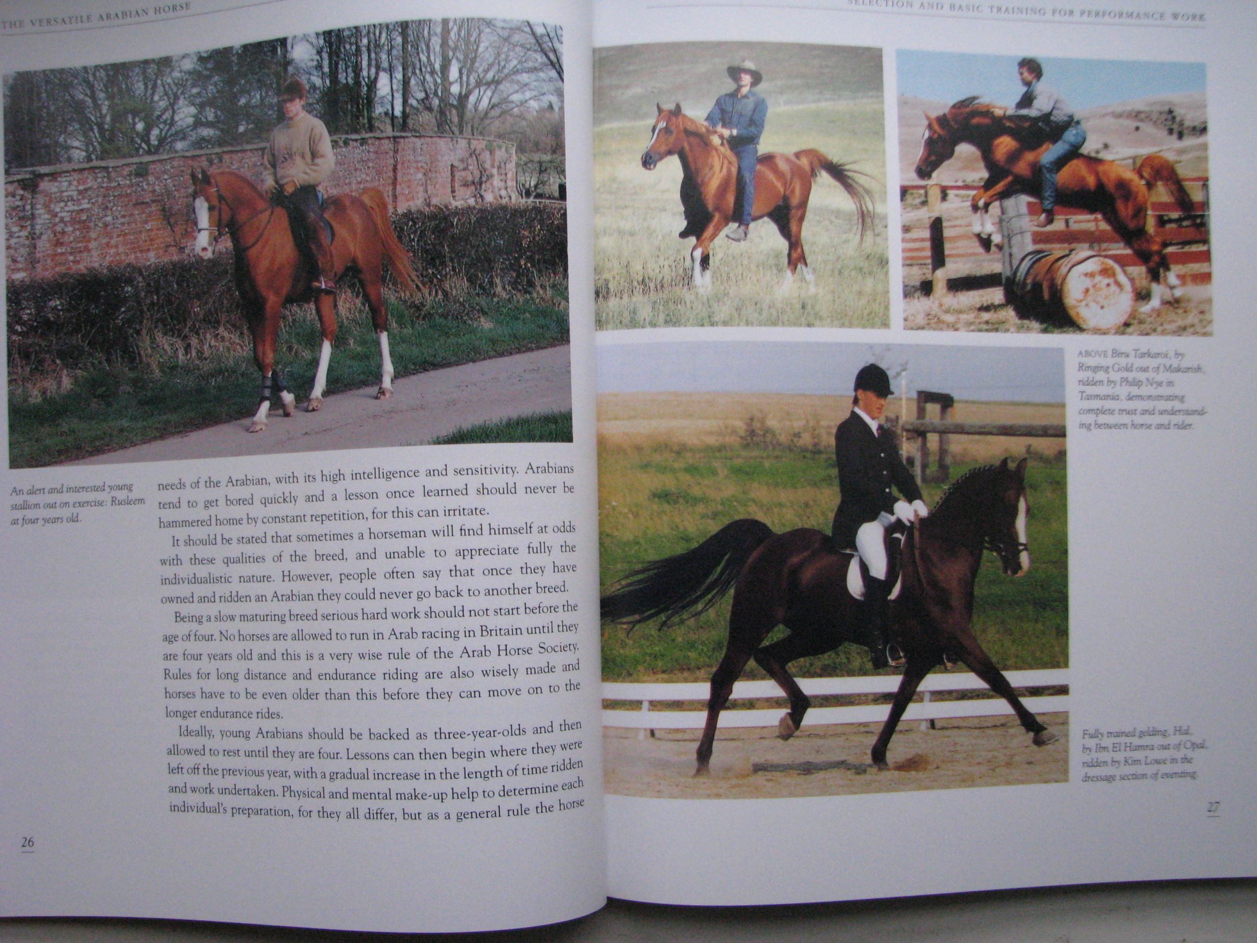 The Versatile Arabian Horse. Rosemary Archer - Image 9