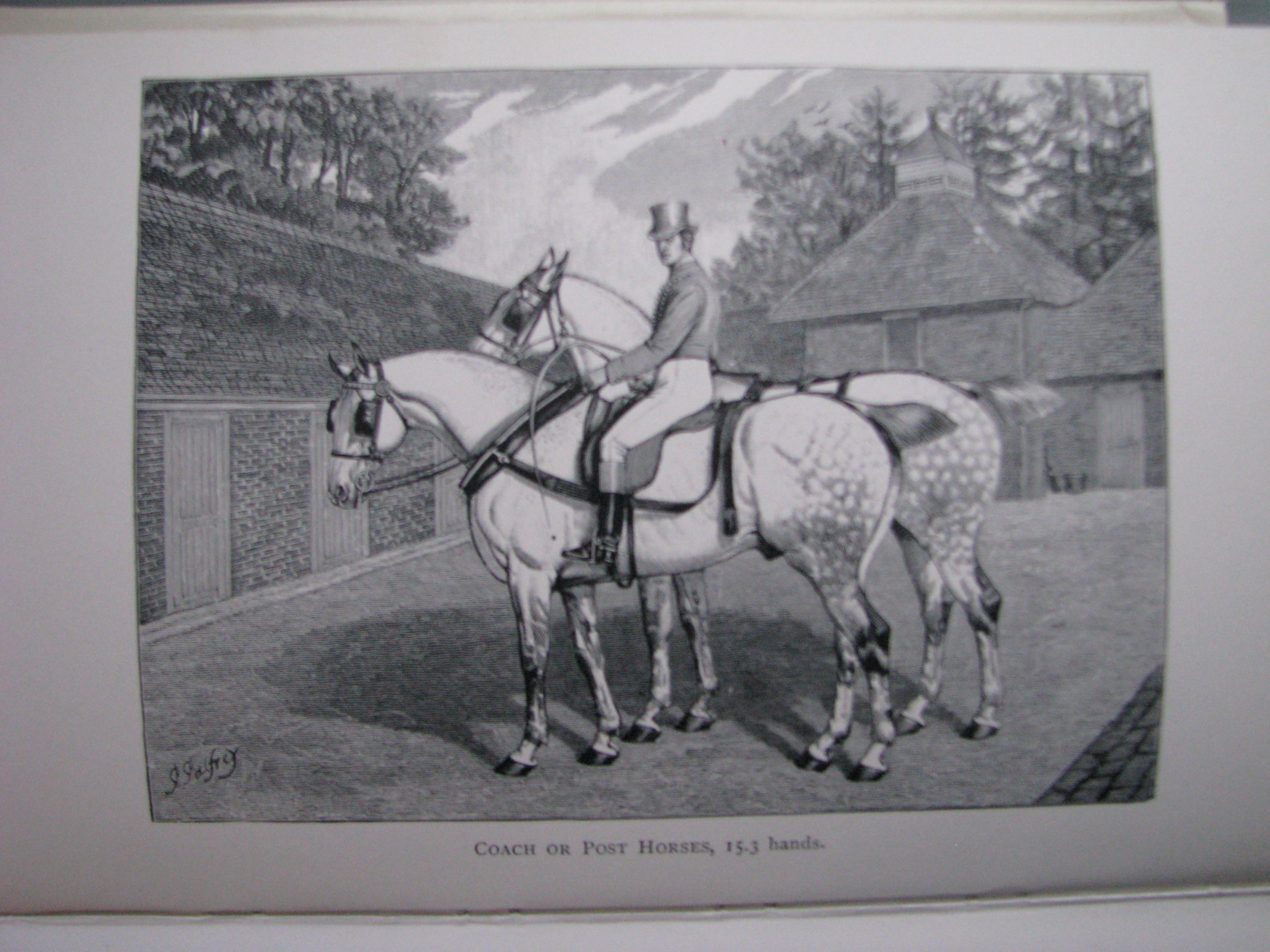 The Harness Horse, Sir Walter Gilbey, revised by Sanders Watney - Image 4