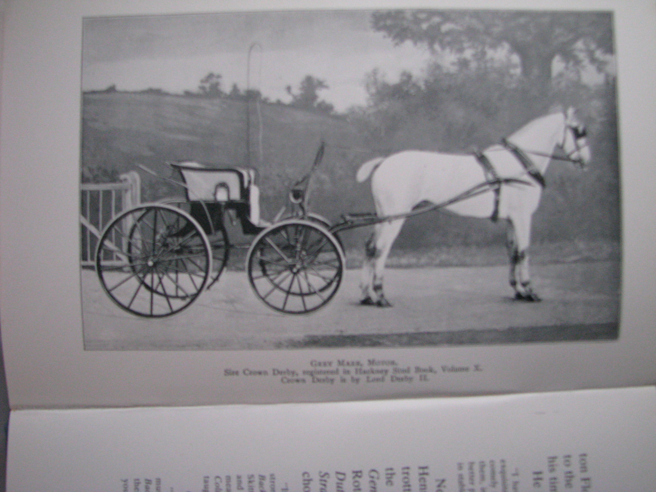 The Harness Horse, Sir Walter Gilbey, revised by Sanders Watney - Image 5