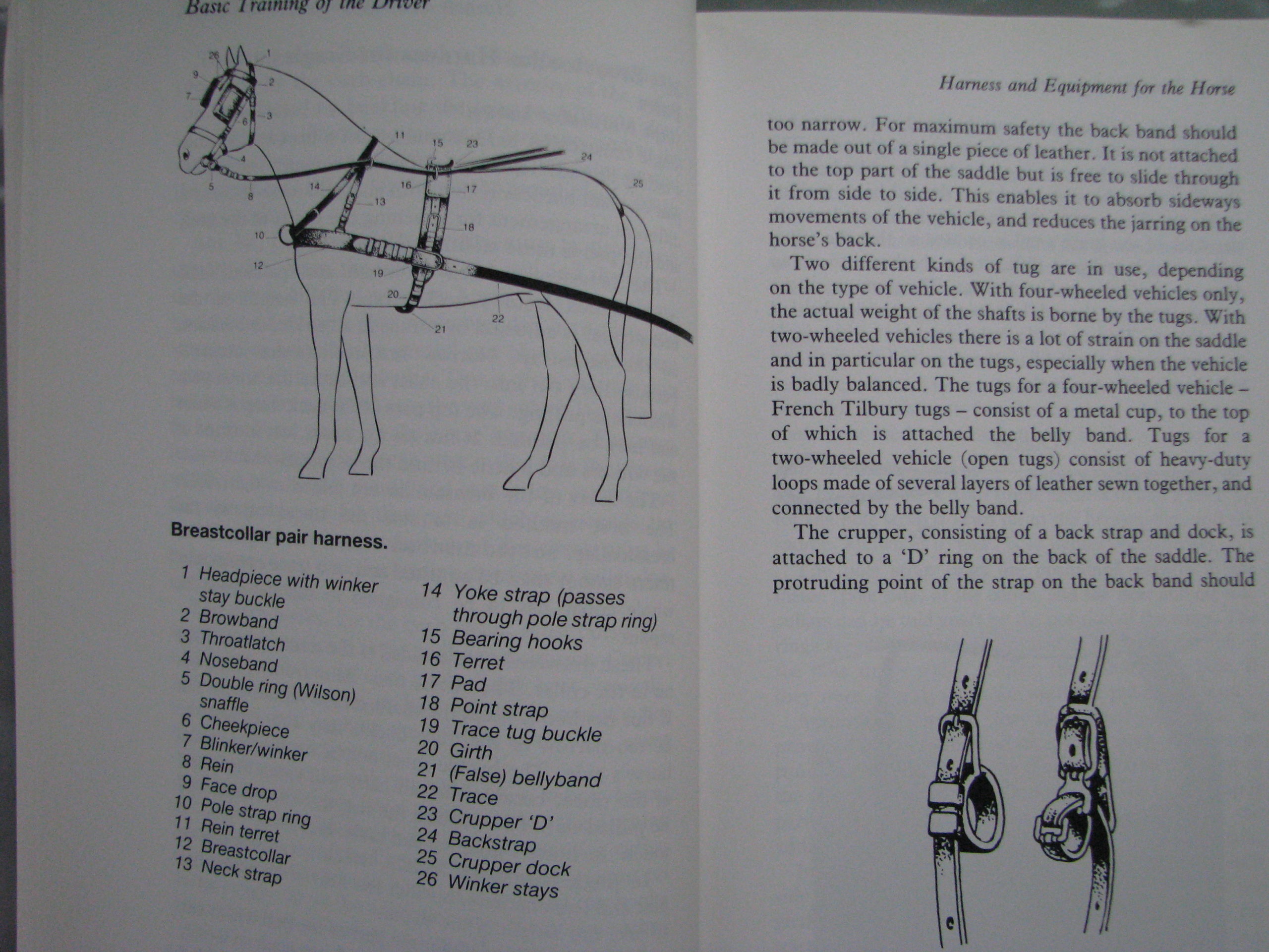 Driving German National Equestrian Federation G.N.E.F - Image 7