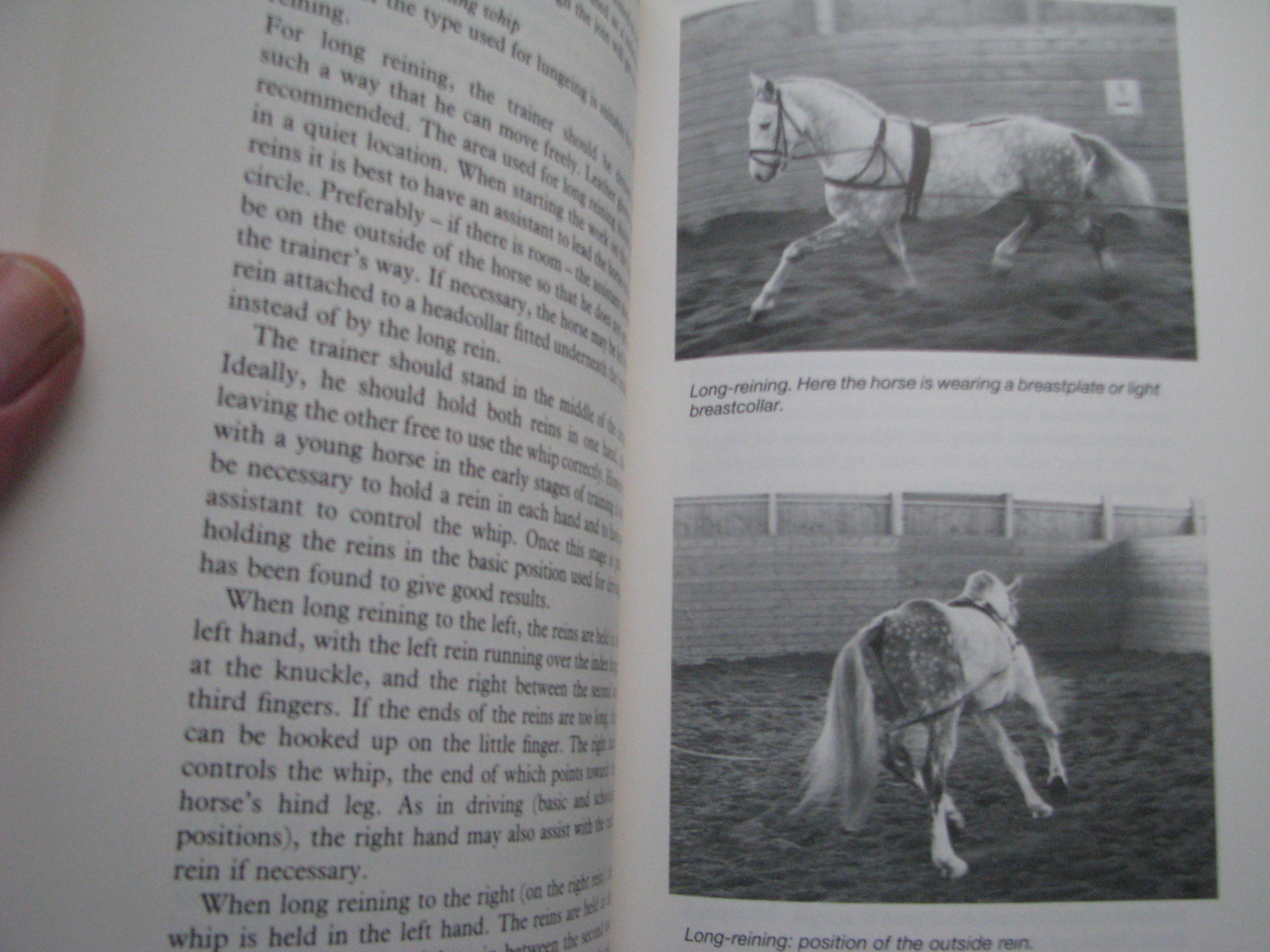 Driving German National Equestrian Federation G.N.E.F - Image 10