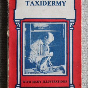 Taxidermy, Paul N Hasluck