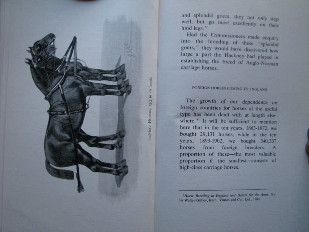 The Harness Horse, Sir Walter Gilbey, revised by Sanders Watney - Image 8