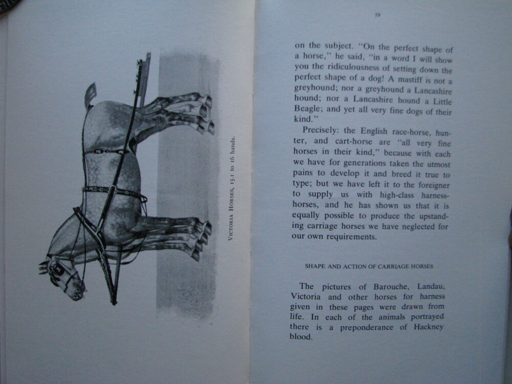 The Harness Horse, Sir Walter Gilbey, revised by Sanders Watney - Image 9