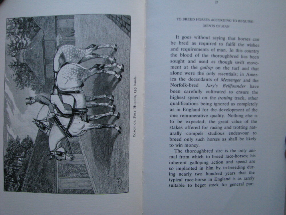 The Harness Horse, Sir Walter Gilbey, revised by Sanders Watney - Image 10