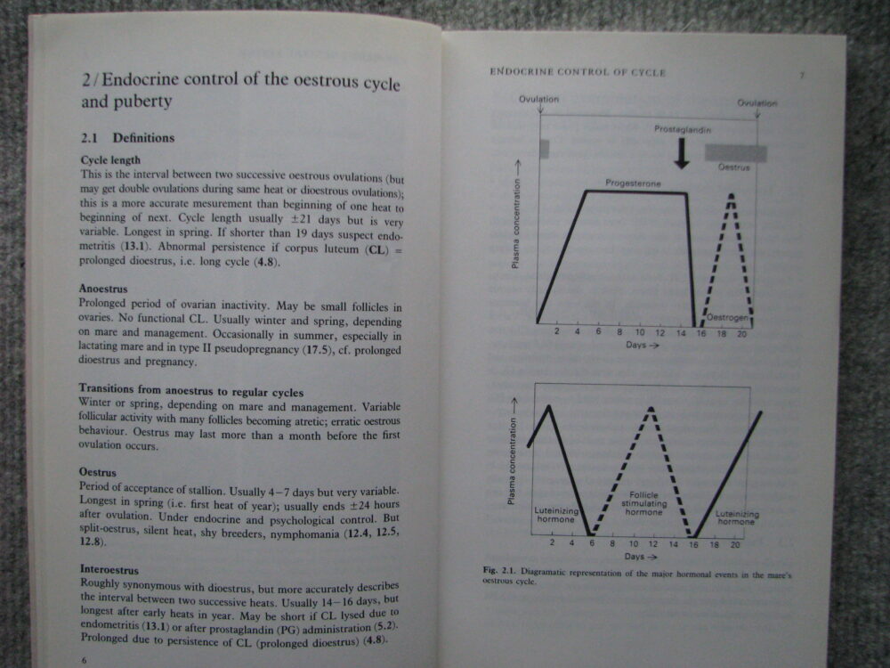 Fertility and Obstetrics in the Horse. Edward Allen - Image 7