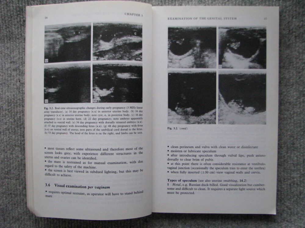 Fertility and Obstetrics in the Horse. Edward Allen - Image 8