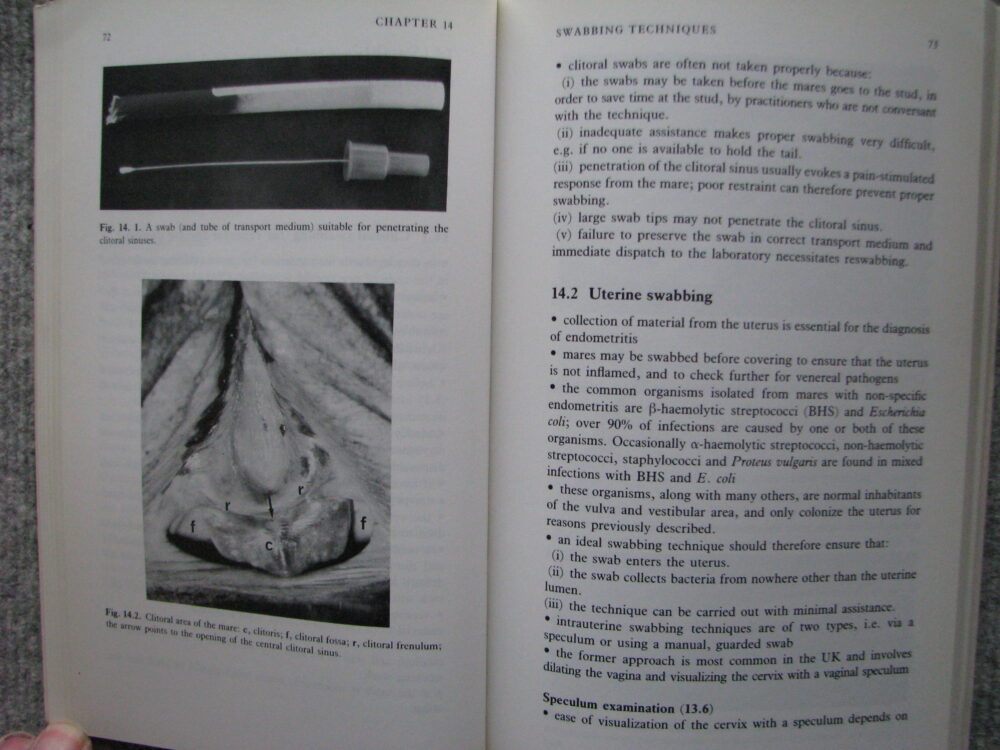 Fertility and Obstetrics in the Horse. Edward Allen - Image 11