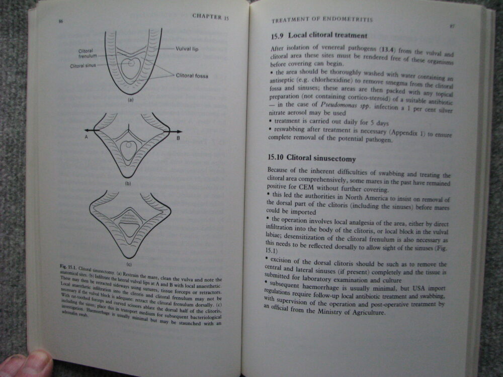 Fertility and Obstetrics in the Horse. Edward Allen - Image 12