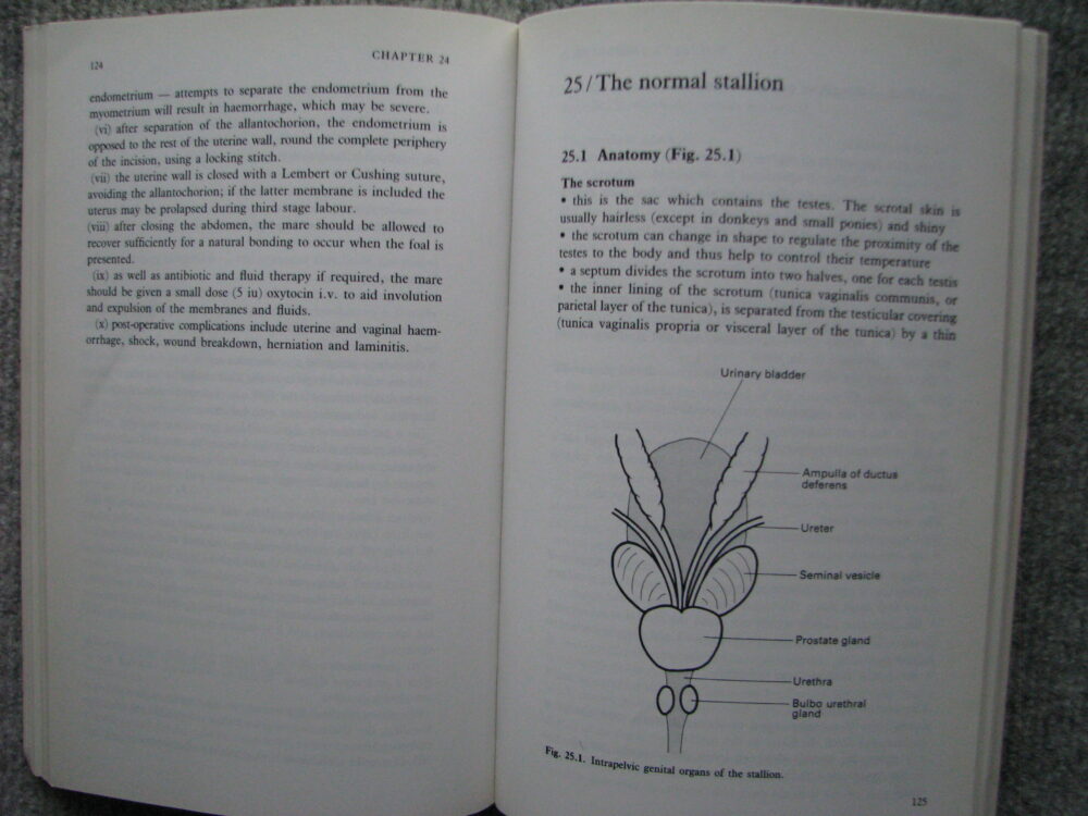 Fertility and Obstetrics in the Horse. Edward Allen - Image 13