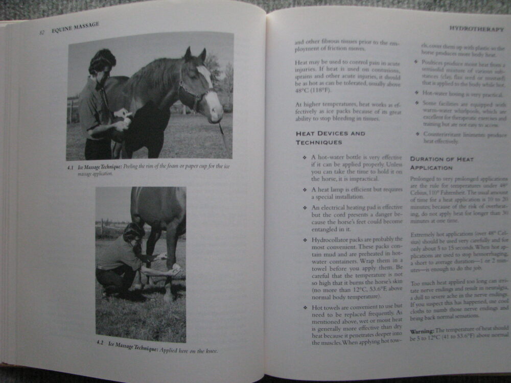 Equine Massage. Jean Pierre Hourdebaigt R.M.T. - Image 8