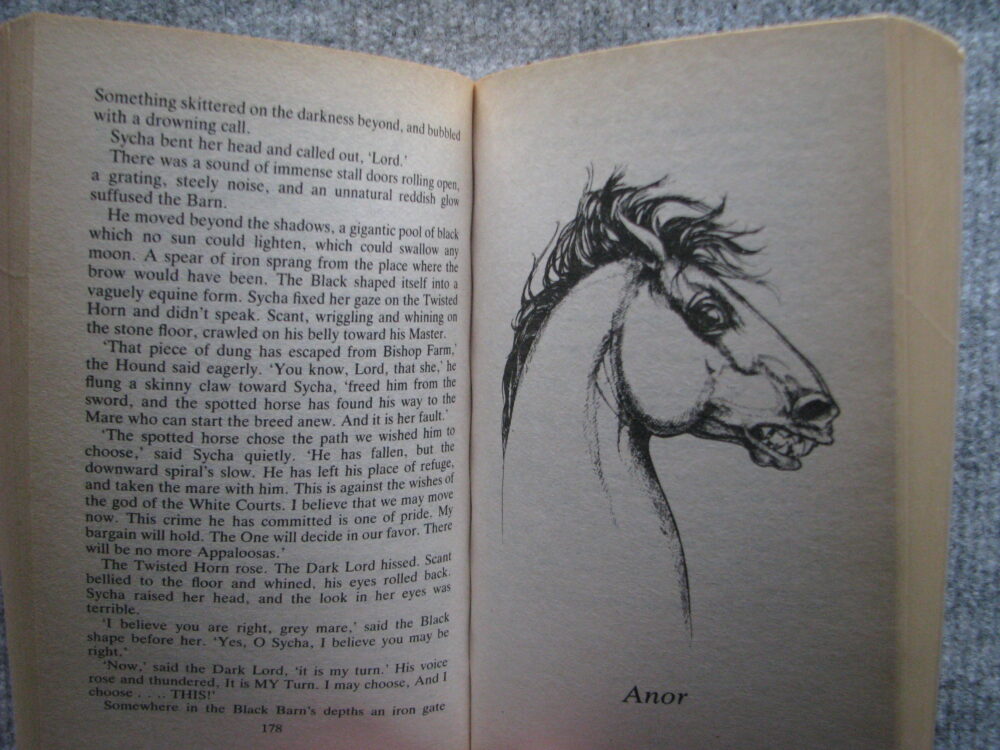 The Heavenly Horse. Mary Stanton - Image 4