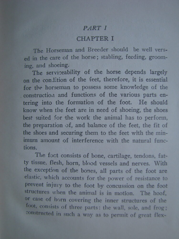 American Methods of Horseshoeing, F.G. Churchill - Image 4