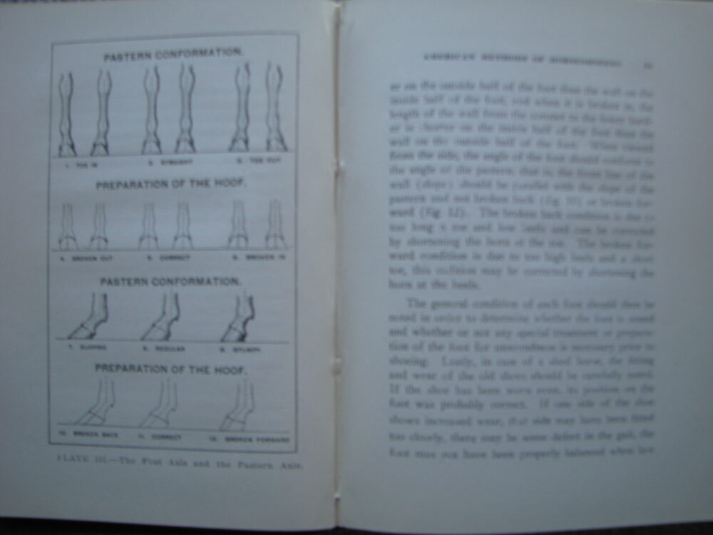 American Methods of Horseshoeing, F.G. Churchill - Image 6
